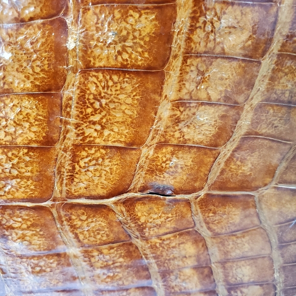 Vintage 70's Reptile Skin Satchel Tan Triangular Lacing - Picture 5 of 10